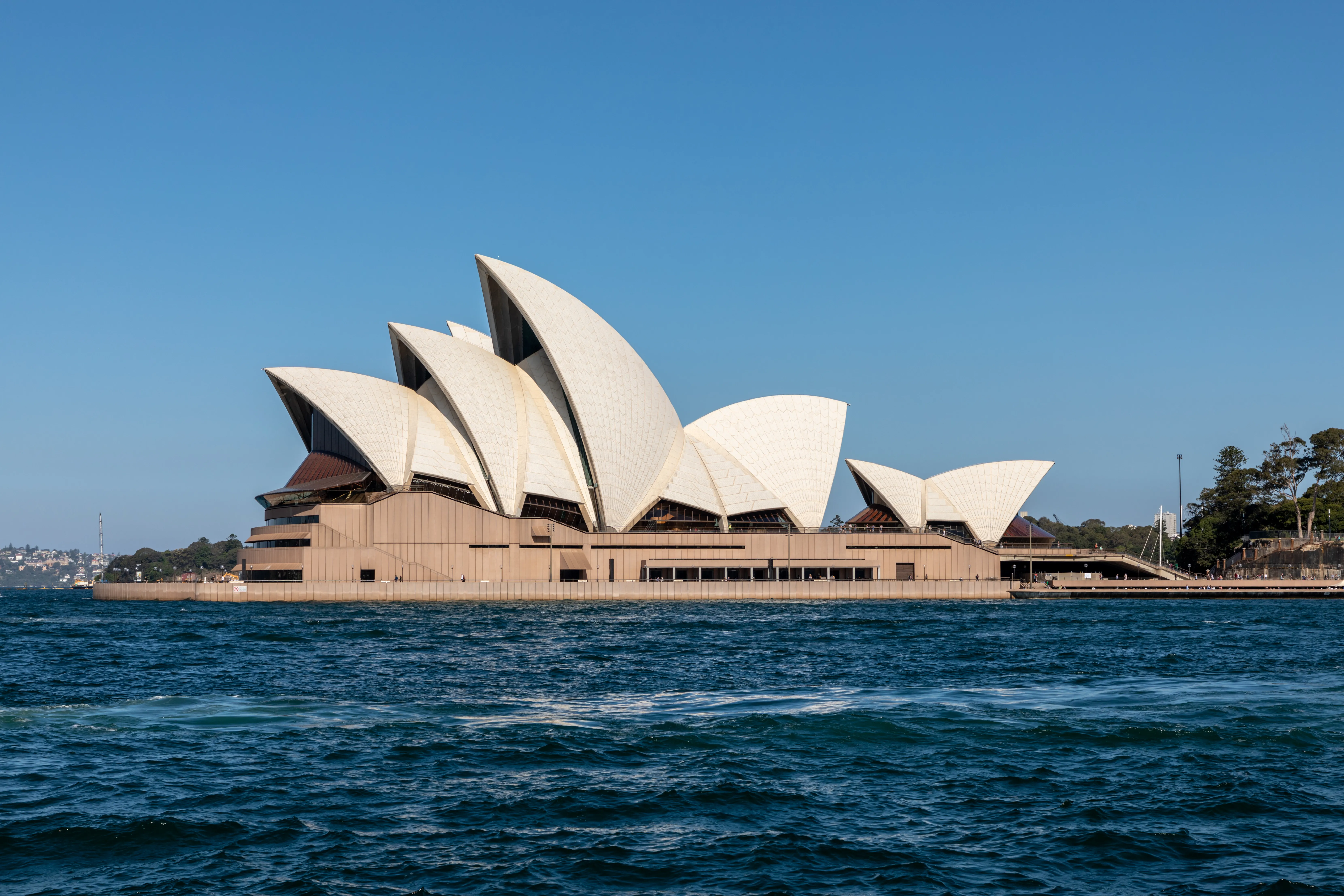 1761700450 55 How sexual selection shaped birds and human brains