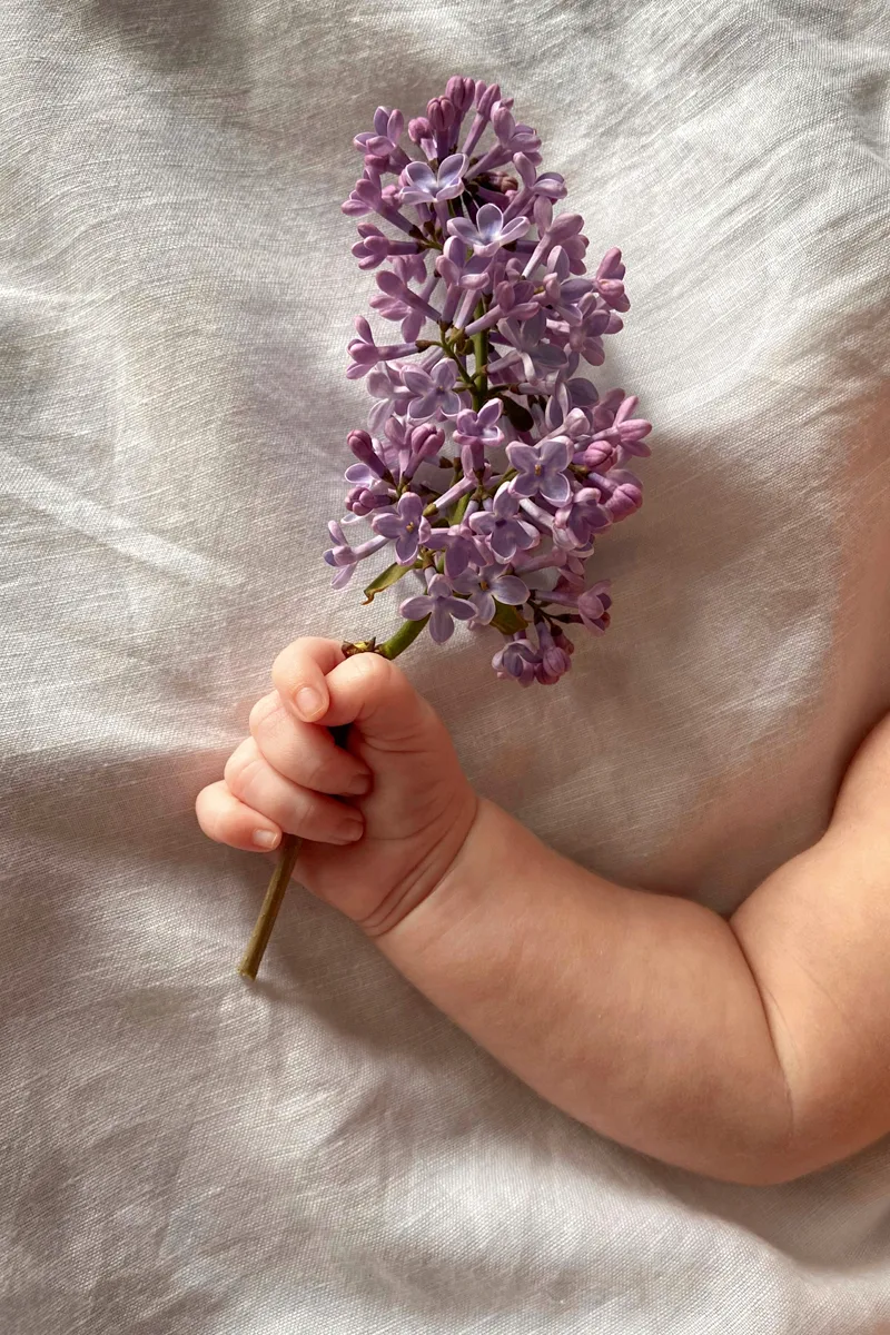 Newborn baby's hand holding lilac flowers