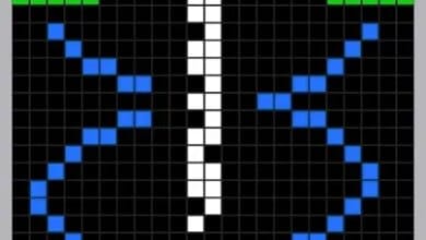 Arecibo letter fifty years later 3 Arecibo letter fifty years later