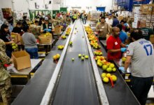 As the shutdown threatens SNAP food assistance, states are taking action 3 As the shutdown threatens SNAP food assistance, states are taking action