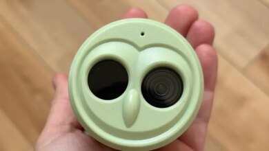 Best Bird Feeders With Cameras, Tested and Reviewed (2025) 19 Best Bird Feeders With Cameras, Tested and Reviewed (2025)