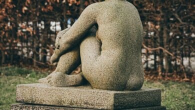 Body confusion | Cup of joe 29 Body confusion | Cup of joe