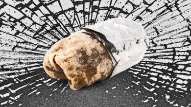 Chipotle's stock price collapses as Generation Z and Millennials burdened by student debt and unemployment stay away 4 Chipotle's stock price collapses as Generation Z and Millennials burdened by student debt and unemployment stay away