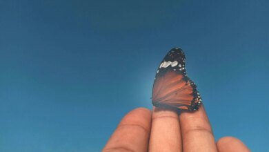 Effective leadership and letting go of control 3 Effective leadership and letting go of control