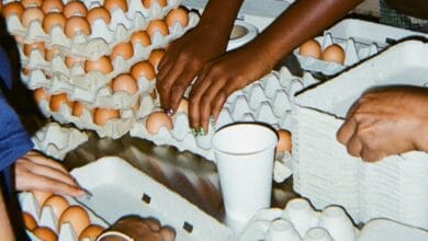 How to help the millions of Americans who are losing their food aid 8 How to help the millions of Americans who are losing their food aid