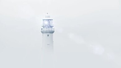 How to lead when you can't see the future 8 How to lead when you can't see the future