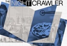 Inside my study of the world's oldest companies