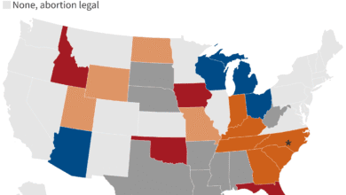 Status of abortion litigation in state courts