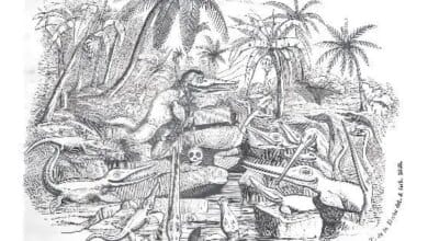 The strange history of de-extinction began long before the science 3 The strange history of de-extinction began long before the science