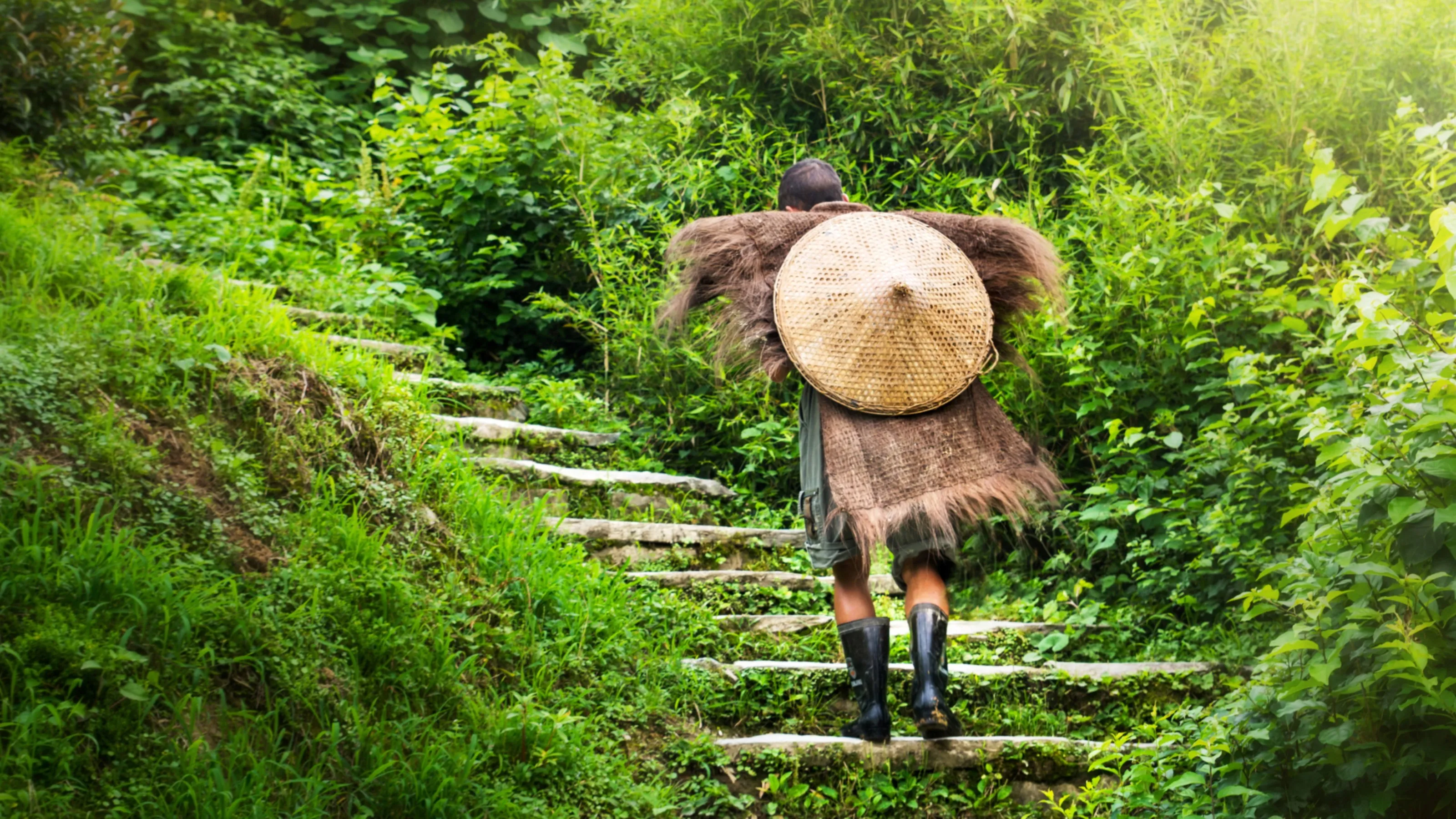 Person wearing a woven cape and hat, walking up stone steps surrounded by lush greenery.