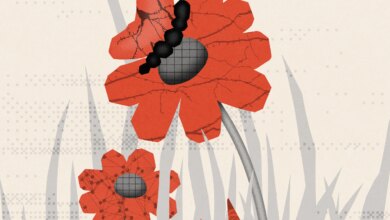 Why could the 21st century bring a new “winter of consciousness”? 28 Why could the 21st century bring a new “winter of consciousness”?