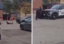 A police car runs over a suspect when the officer forgot to park it, in a video clip