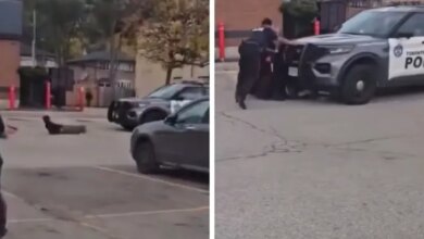 A police car runs over a suspect when the officer forgot to park it, in a video clip
