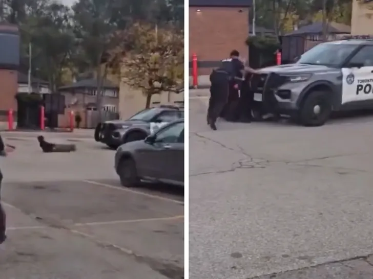 A police car runs over a suspect when the officer forgot to park it, in a video clip