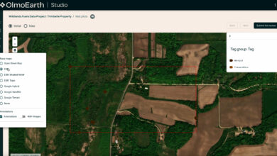 Ai2 loosens Big Tech's grip on Earth insights with open source AI models for climate and conservation