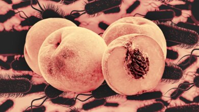 Remember Listeria peach: complete list of products, potentially deadly bacteria