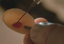 The best sci-fi thriller of the 1990s is lost to time 6 The best sci-fi thriller of the 1990s is lost to time