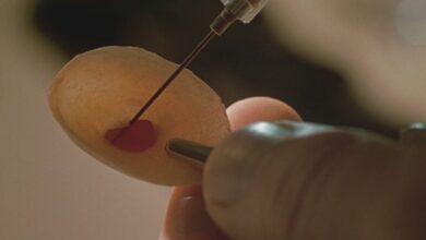 The best sci-fi thriller of the 1990s is lost to time